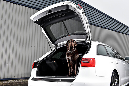 Car Shades Audi A6 (C7) Avant 11-18 Full Rear Set