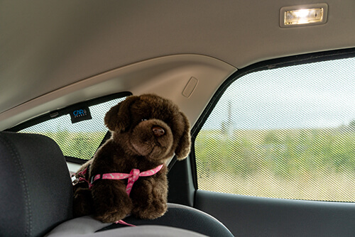 Car Shades - Jaguar E-Pace 2017> Full Rear Set